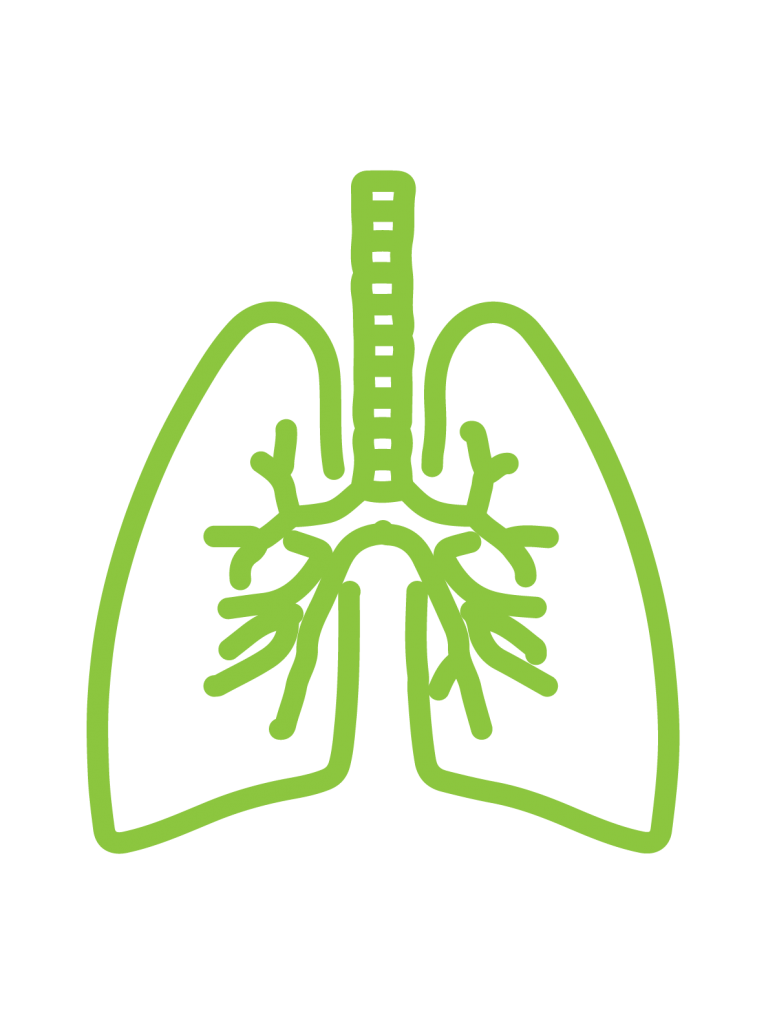 Lung & sinus icon